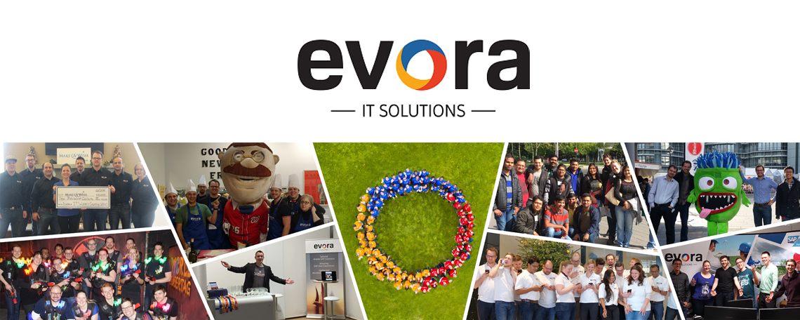 It Projektmanager M W D Sap Walldorf Evora It Solutions Gmbh